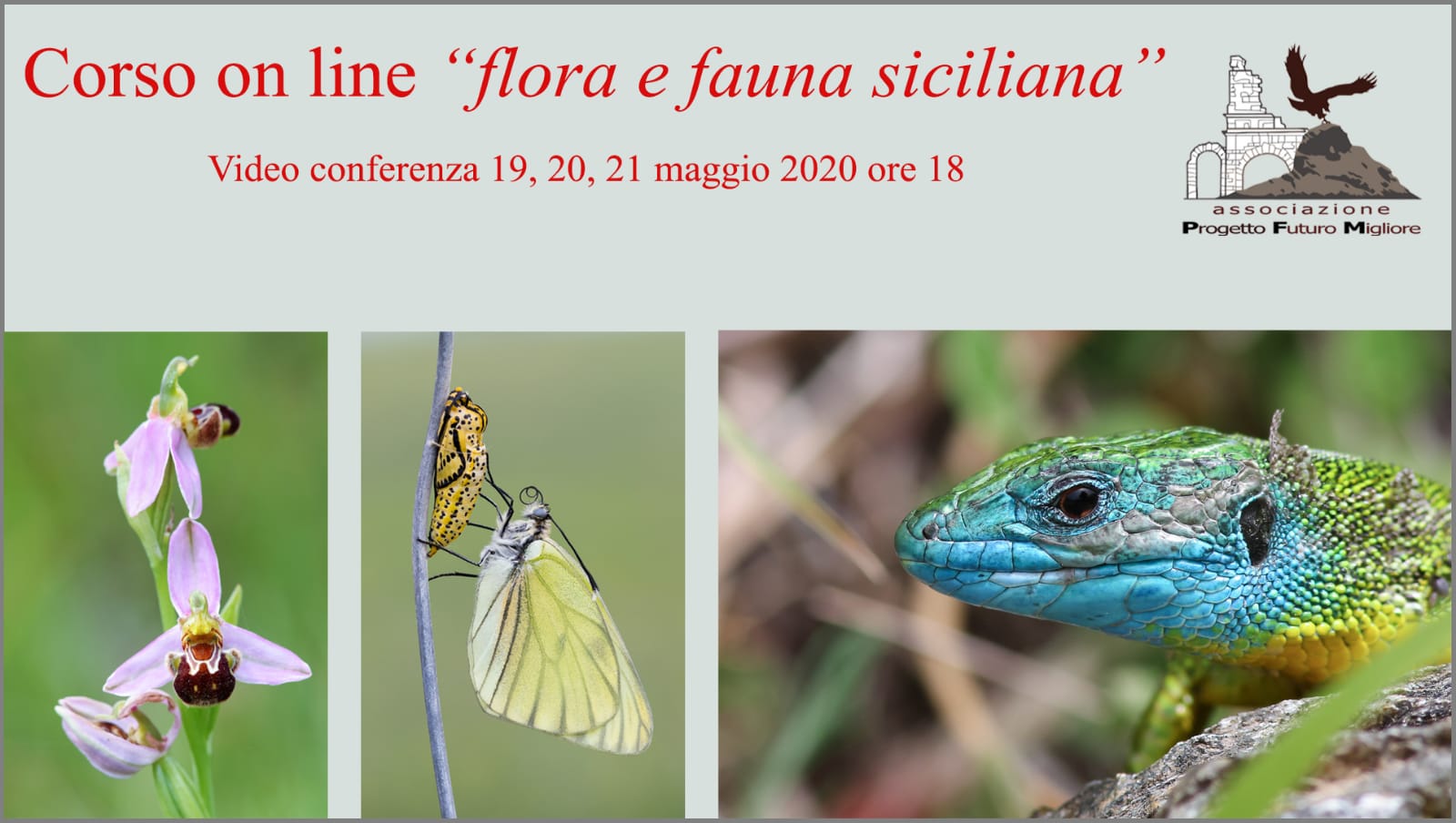 corso on line Flora e Fauna Siciliana 2020