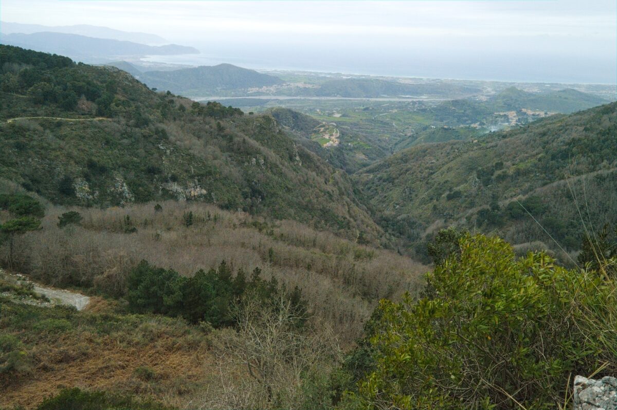 BAFIA-PIANO MARGI (PELORITANI)2