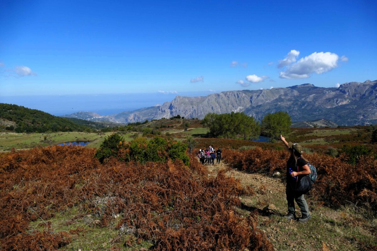 BOSCO DI PRACINO (NEBRODI)