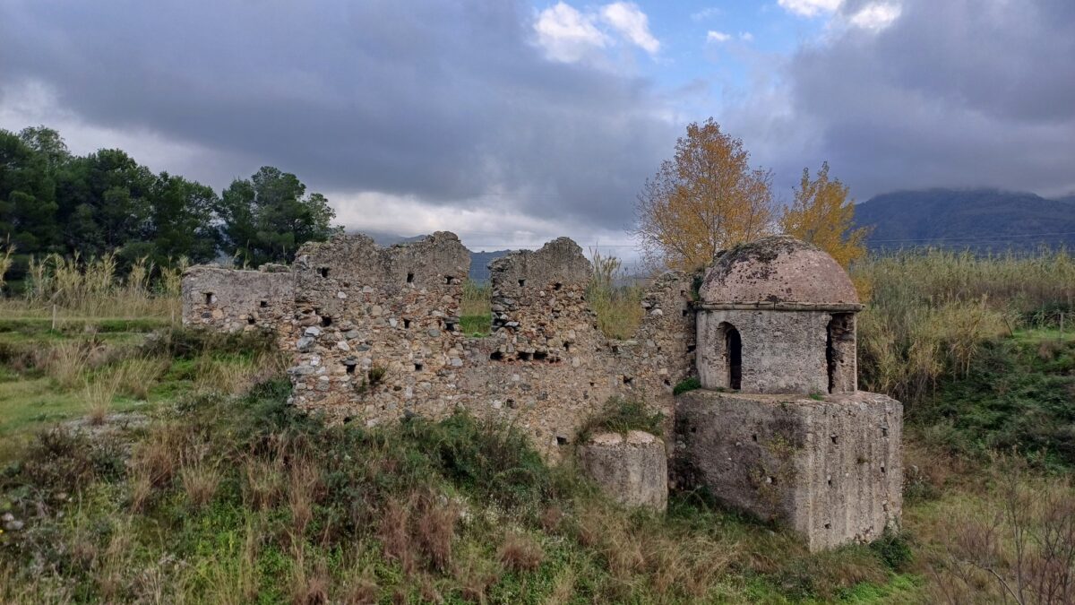 MONTE CIAPPA (TERMEVIGLIATORE)2