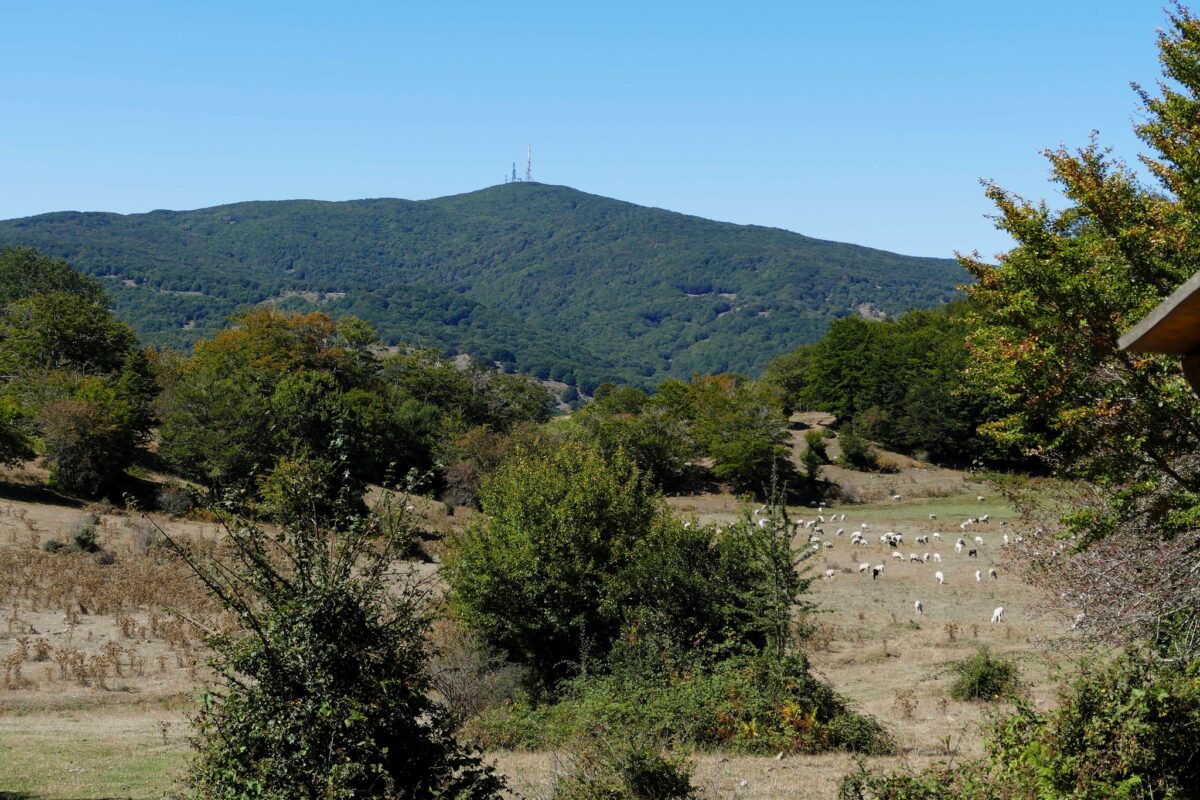 MONTE SORO (NEBRODI)