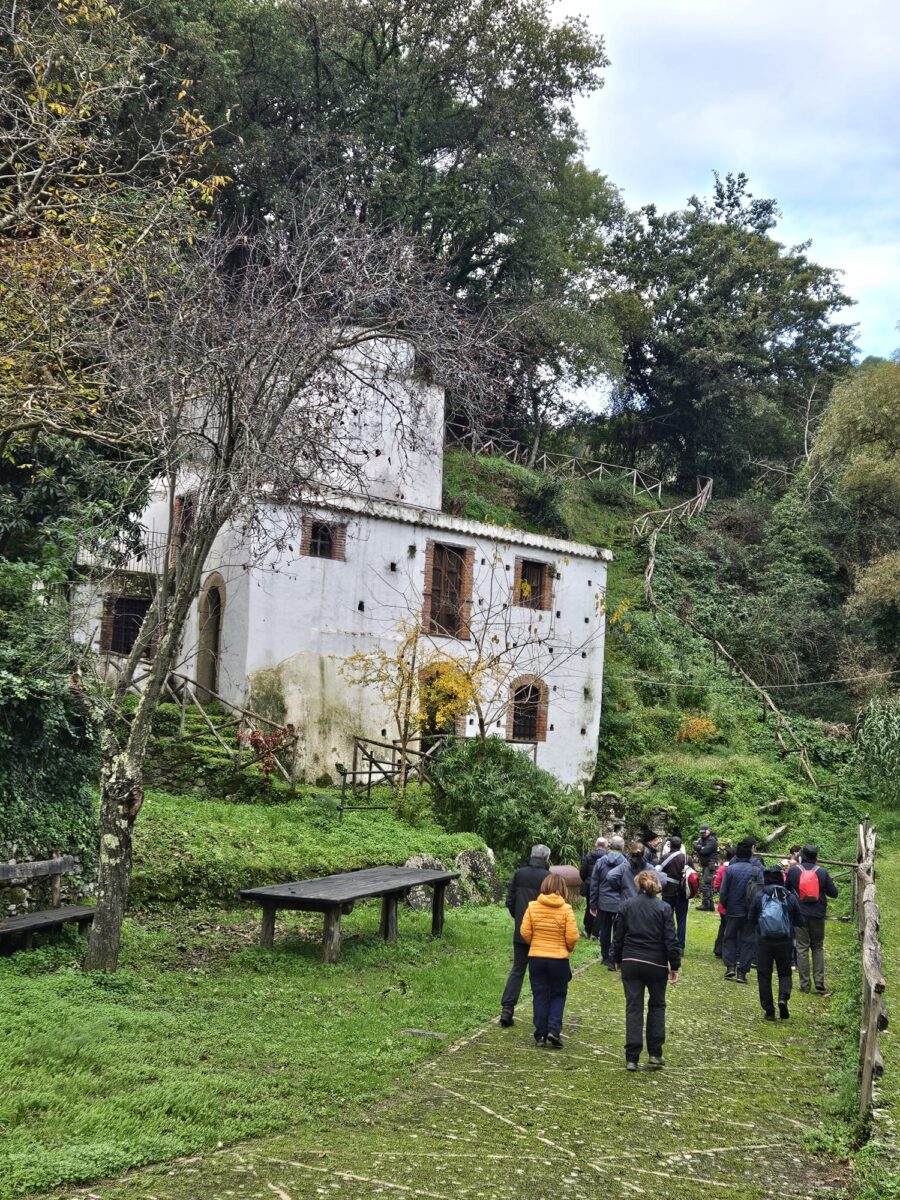 MULINO DI MONTAGNAREALE 2