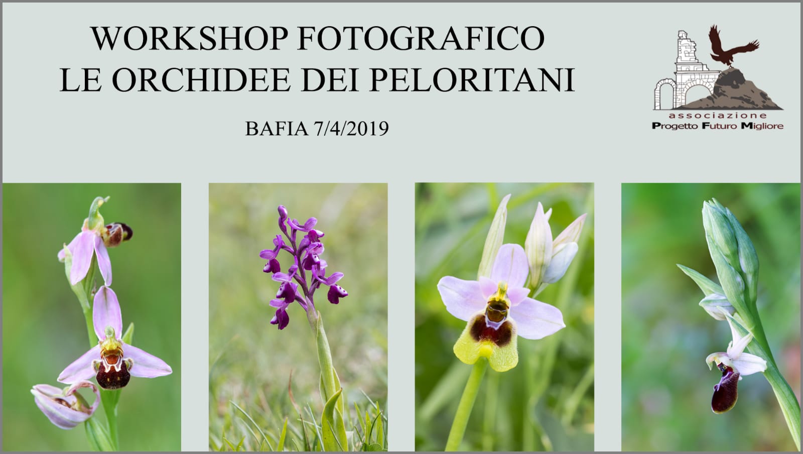 workshop fotografico orchidee 2019